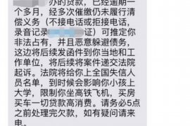 柳南为什么选择专业追讨公司来处理您的债务纠纷？