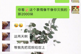 柳南遇到恶意拖欠？专业追讨公司帮您解决烦恼